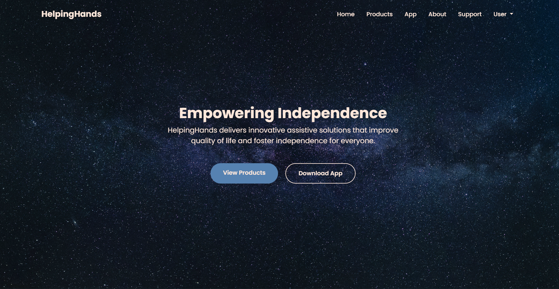 Company Portfolio